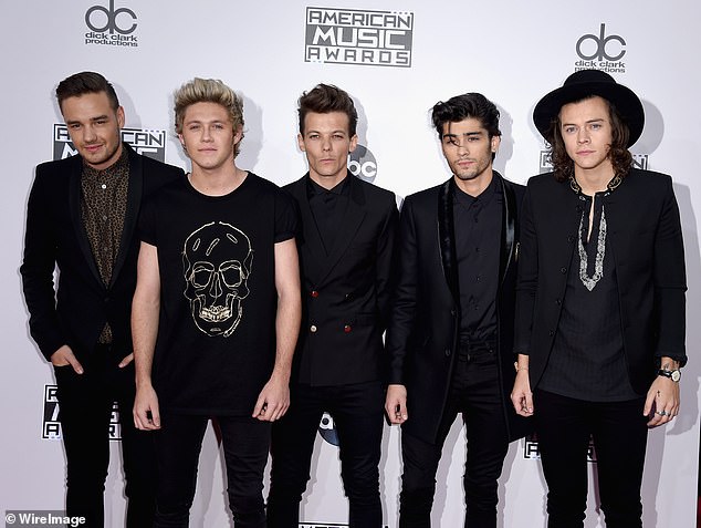 Alongside family friendly hits like 2011's What Makes You Beautiful, some the band's other tunes featured not to subtle lyrics about sex (pictured 2014)