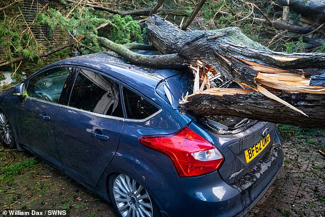 One of the cars damaged after two large trees were brought down by the storm in Truro