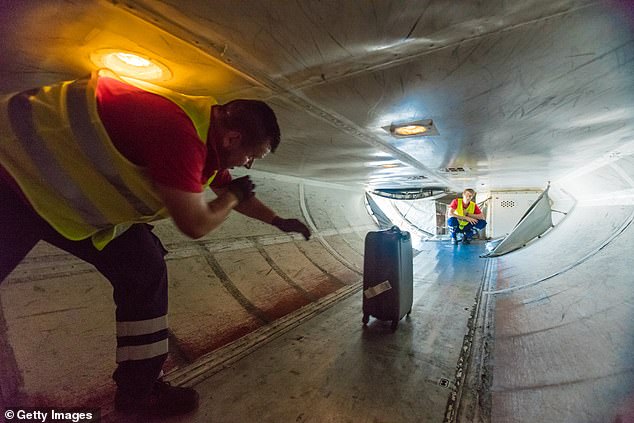 Air Canada said in a statement that the baggage handler was unharmed and have reinforced its procedures with its ground crews (Stock Image)