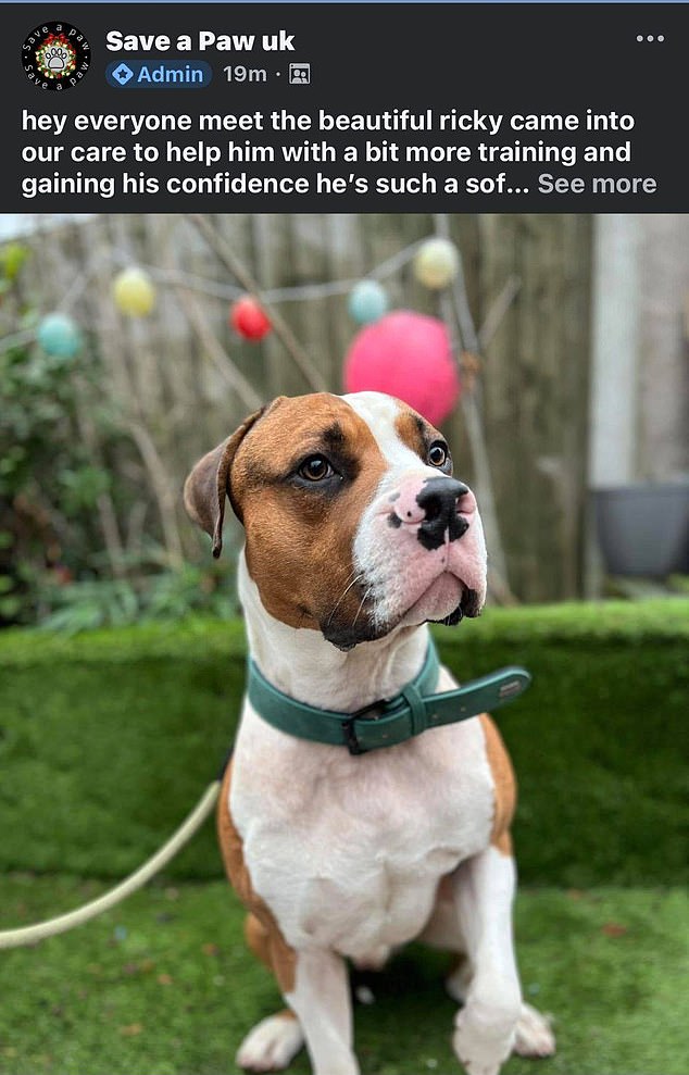 Concerned pet lovers had raised questions about the whereabouts of animals, including 'Ricky'