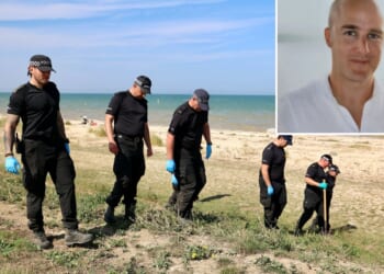 'Killer' teens 'lured man, 49, to beach using fake name then beat him to death with rocks while calling him "paedo"'