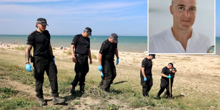 'Killer' teens 'lured man, 49, to beach using fake name then beat him to death with rocks while calling him "paedo"'