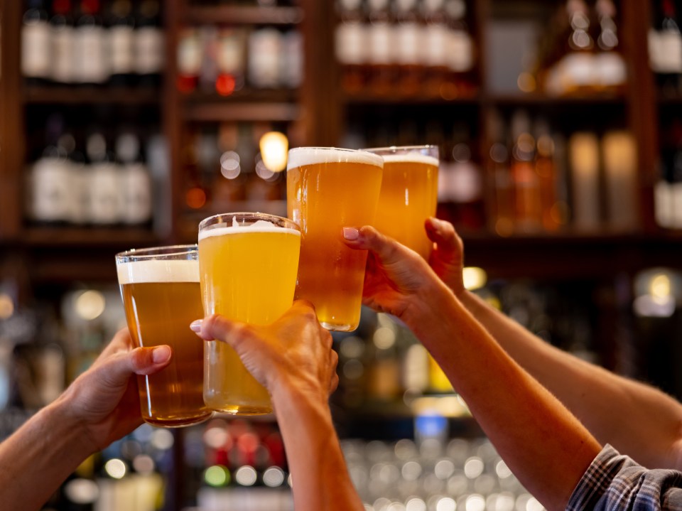 Friends making a toast at the pub