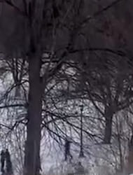 Minneapolis protesters sled down hill during anti-ICE rally