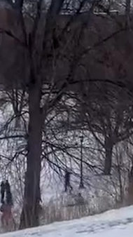 Minneapolis protesters sled down hill during anti-ICE rally