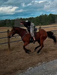 Kailyn Lowry’s horse-riding attempt goes off the rails