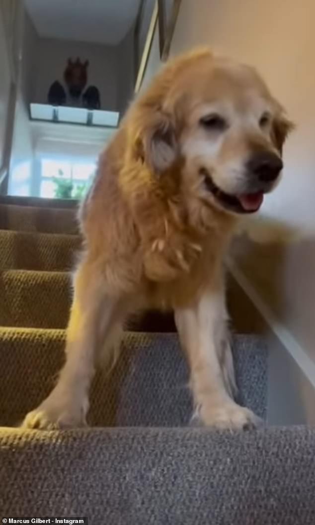 During their time as a couple, Marcus also said goodbye to his beloved dog Delilah in November 2024