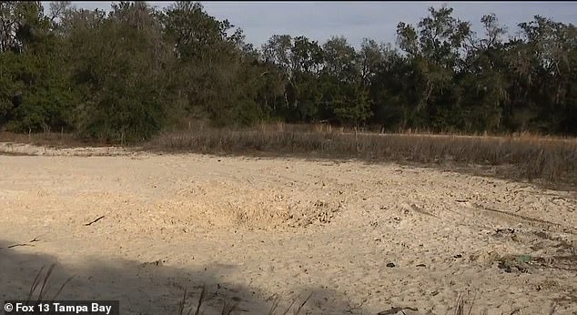 The boys were digging in the sand at Sportsman's park in Inverness, central Florida