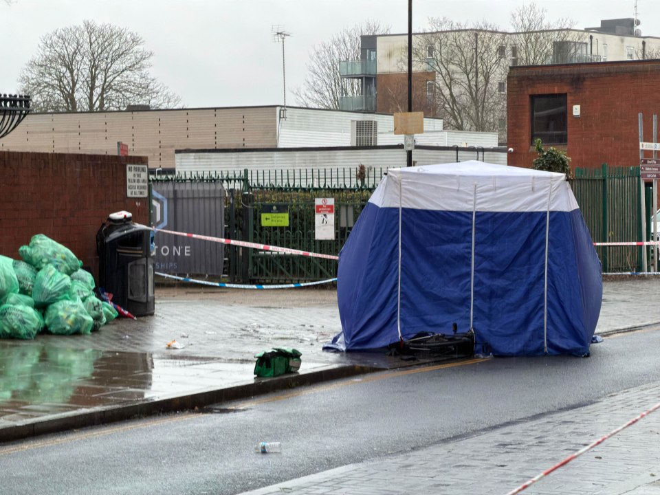 Teen Stabbed to Death in Feltham Shocker