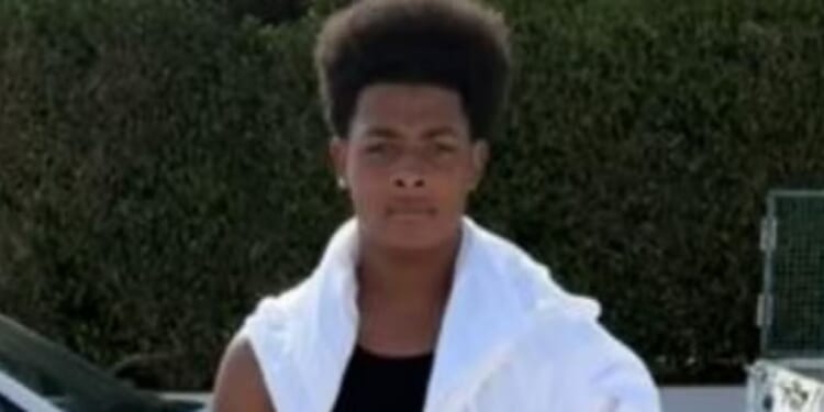 Teen who was stabbed to death near high street is pictured after three were arrested