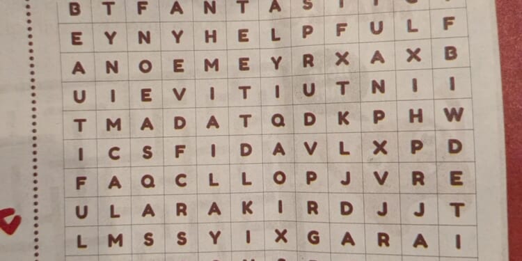 Dad rages as kids' word search has WRONG letters in it while others spot 'ominous' message inside, can you see it?