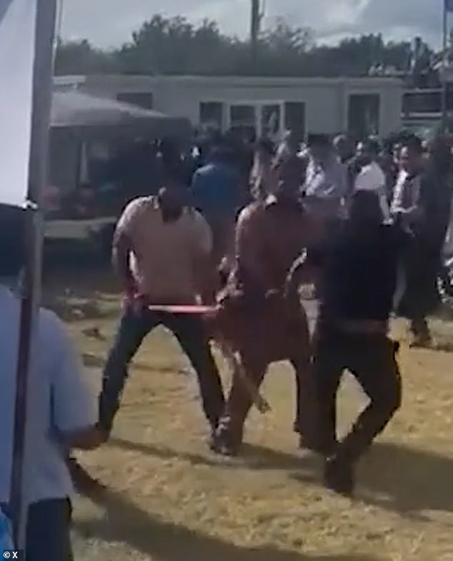 Increasingly the bloody scenes in Derbyshire are being replicated at kabaddi tournaments around the country as simmering rivalries in British Sikh communities bubble to the surface