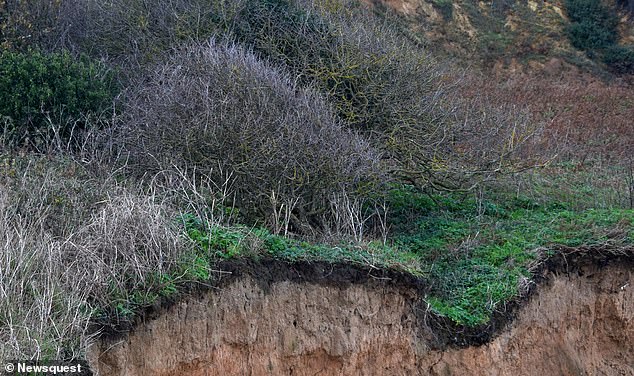 Even if ramblers and drivers can get past the thicket, there's a dangerous cliff edge at the end of the route
