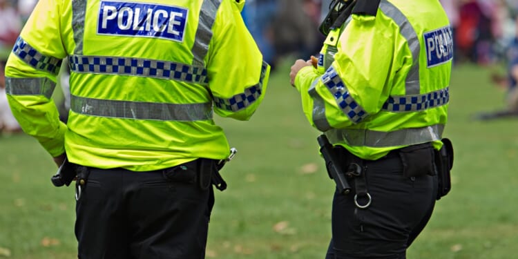 Woman sexually assaulted by two balaclava-clad men down alleyway as cops launch urgent probe