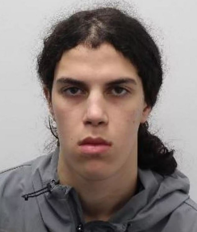 Boulares, 18, was jailed for 22 months. He is pictured in a police mugshot