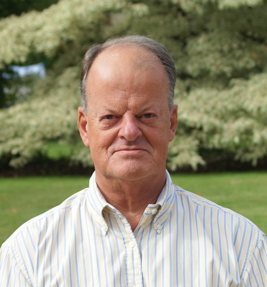 NINTCHDBPICT001019004037