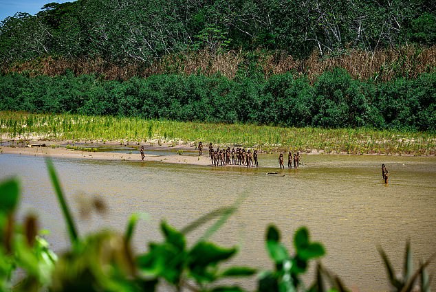 The tribe has no immunity to common diseases, so contact with them could be fatal