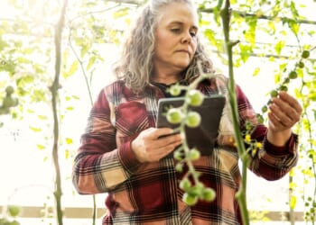 Gardening expert reveals top tips on 'biosecurity' to keep your garden healthy amid growing concern of diseases