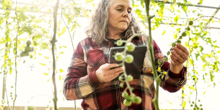 Gardening expert reveals top tips on 'biosecurity' to keep your garden healthy amid growing concern of diseases
