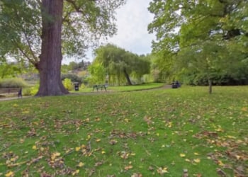 Woman pushed to floor and sexually assaulted by man while walking her dog in park as cops launch urgent hunt