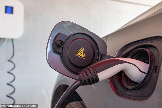 Weak used EV values in the last year have partly been triggered by Labour's Electric Car Grant on new models, which launched in the summer to provide discounts on sub-£37,000 electric vehicles