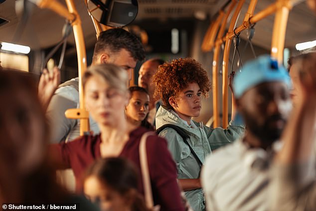 The Green Party argued it would improve access to work and education for under-22s, especially those in rural areas