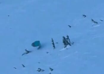 Dramatic moment paraglider smashes into a tree as he recklessly dashes down ski slope in an illegal wingsuit