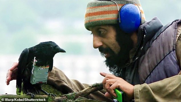 Along with his role as Faisal in Four Lions (2010), Akhtar also starred in BBC television film Murdered By My Father and crime drama Sherwood. Pictured: Akhtar in a scene from Four Lions