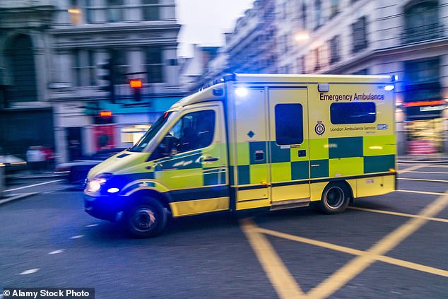 According to the new data, average ambulance response times were 15 minutes faster in December than last winter (File image)