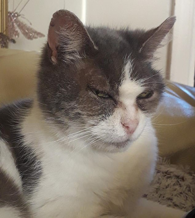 Bonny died in June 2024 and Mr McAuliffe packed her into a specially designed storage container, sent to him from Tomorrow Bio