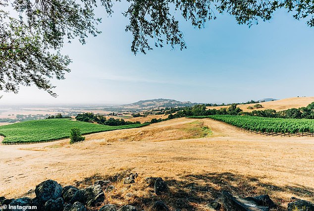 His Santa Rosa winery eStCru had assets worth between $1 million to $5 million, despite the company having to settle a lawsuit