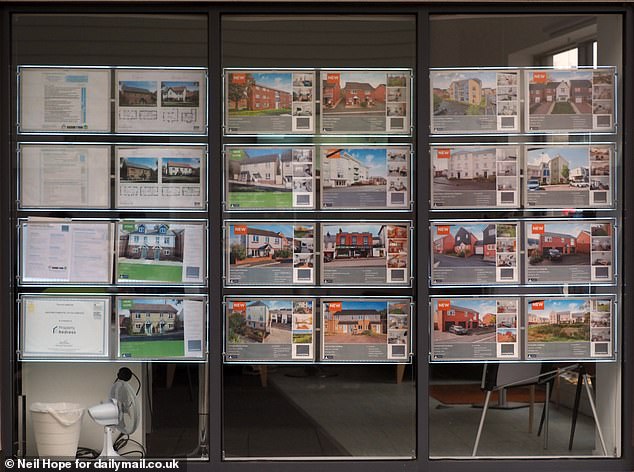 DEVON: Estate agents in the area say the low price of property makes it attractive despite the noisy runway