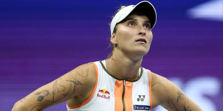 'I'm really sorry' - Former Wimbledon champion pulls out of Australian Open an hour before first match