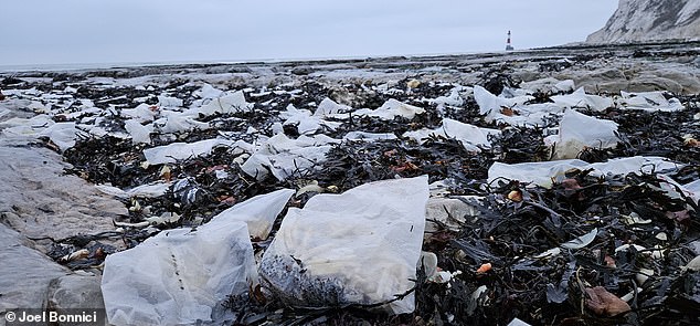 Many of the chips were still in their bags and are believed to have washed ashore after at least 20 massive shipping containers fell from two ships in storms in the English Channel