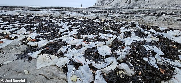 Volunteers have been called to clear up the plastic bags that litter the East Sussex coastline in  the area