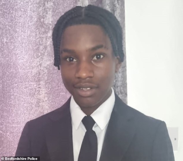 Ashraf Habimana was with friends in a car park in Luton when two groups of teenagers clashed