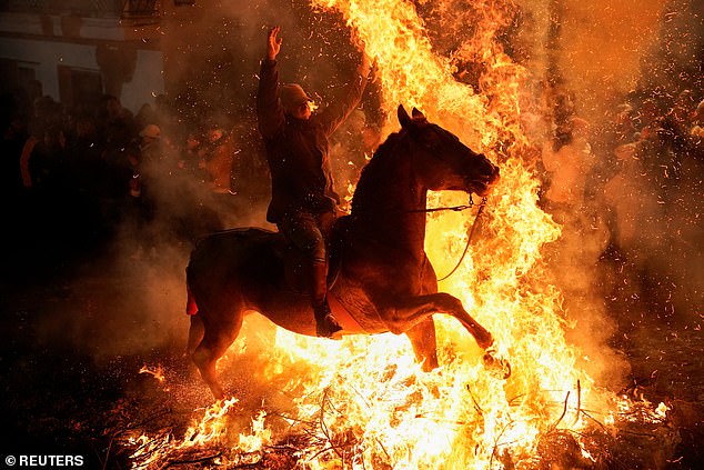 Riders guide horses through bonfires in the middle of the street in an act believed to purify the animals in the coming year