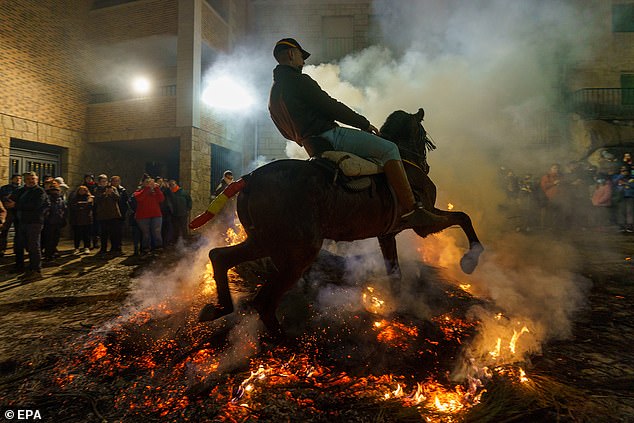 Animal rights groups have long criticised Las Luminarias, but locals say the horses are rarely, if ever, injured