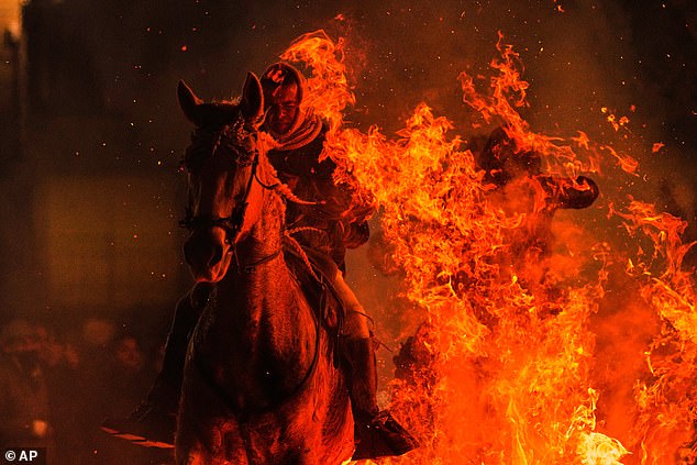 A man rides a horse through a bonfire as part of a ritual in honor of Saint Anthony the Abbot, the patron saint of domestic animals, in San Bartolome de Pinares, Spain, Friday, January 16, 2026