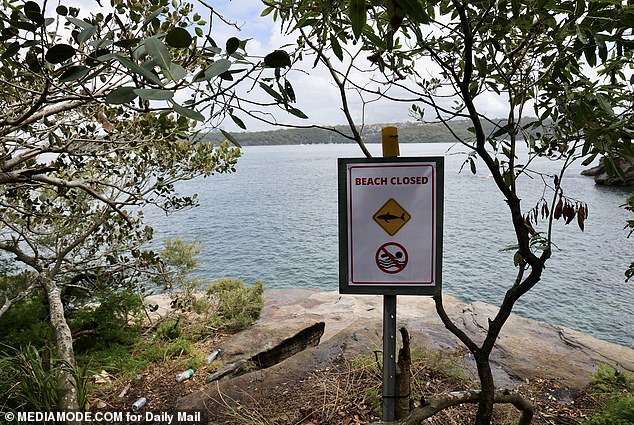 The un-netted areas near Shark Beach were closed to swimmers on Monday