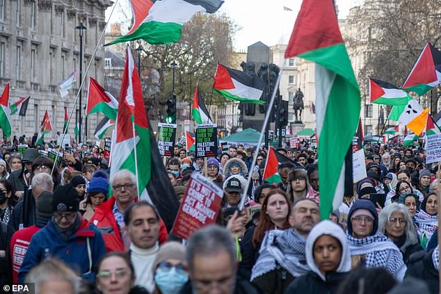 A pro-Palestinian demonstration in London