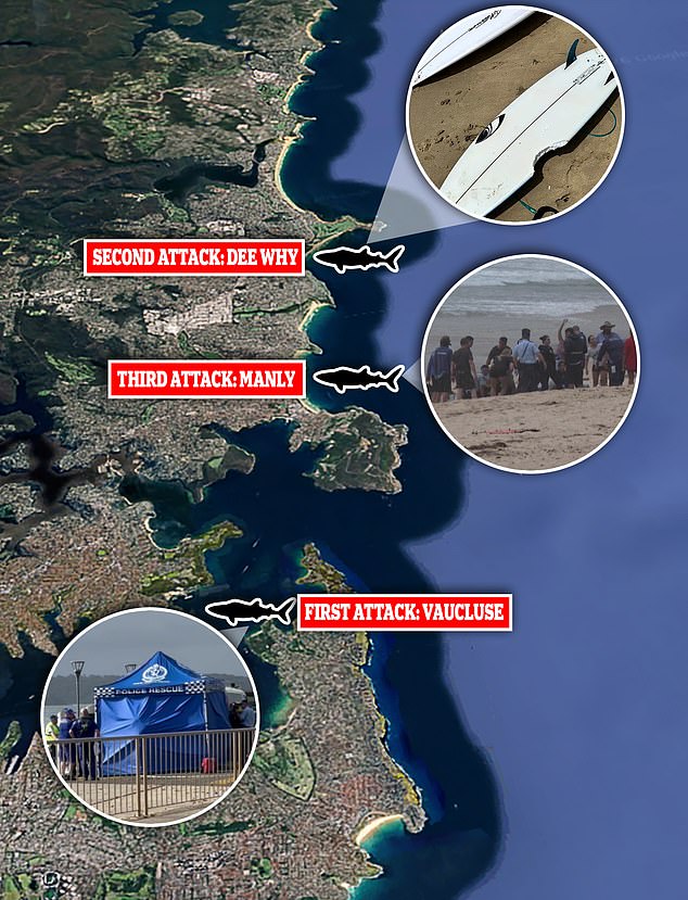 A 12-year-old boy aged 11 and the man in his 20s were targeted over a 25-hour period on Sunday and Monday. On Tuesday, a fourth man was attacked on NSW's Mid North Coast