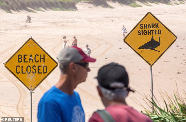 The shark net had been set as normal on Dee Why Beach, which was closed at the time of attack because of large swells and dangerous surf (the beach is pictured)