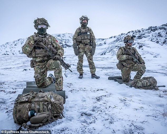 Danish officials said the deployment is tied to long-term Arctic defense planning and coordination with allies