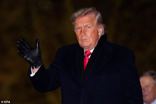 Trump announced that starting February, a 10 per cent import tax will be imposed goods from eight European nations