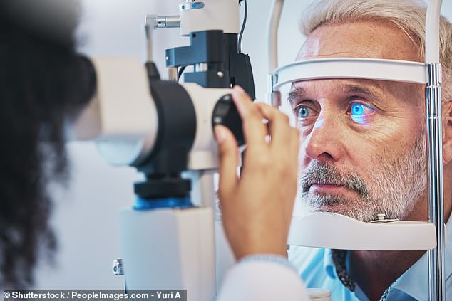 This increase in pressure damages the optic nerve, which connects the eye to the brain