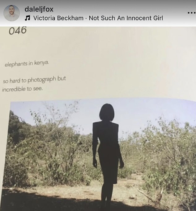 A meme that will no doubt infuriate all parties saw an edited clip from Brooklyn's widely panned 2017 photography book, which featured a picture of an elephant which he stated are 'so hard to photograph' yet the doctored image featured Victoria's silhouette layered over the top while Not Such An Innocent Girl played