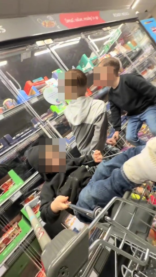 Children playing in a shopping cart in a grocery store aisle.
