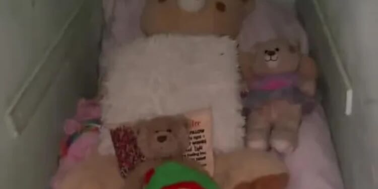 People moan about having a tiny room but I sleep in the cupboard under the stairs on the floor