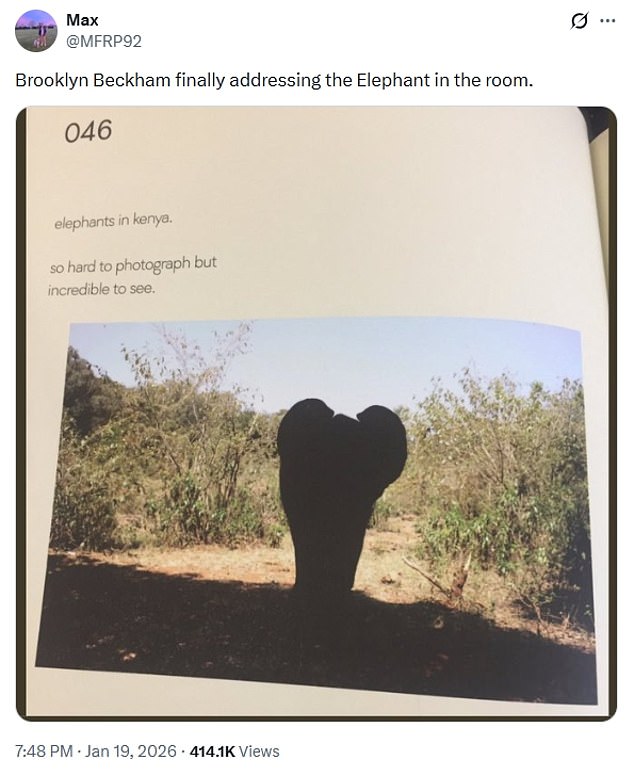 The book of 300 photographs offers blurry shots of the then 18-year-old and his family at everything from A-list parties to luxury holidays - but this picture of an elephant was derided